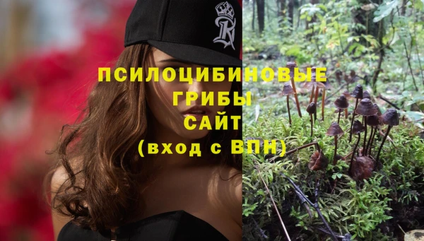 СК Алексеевка