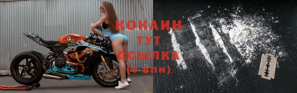 бошки Алексин
